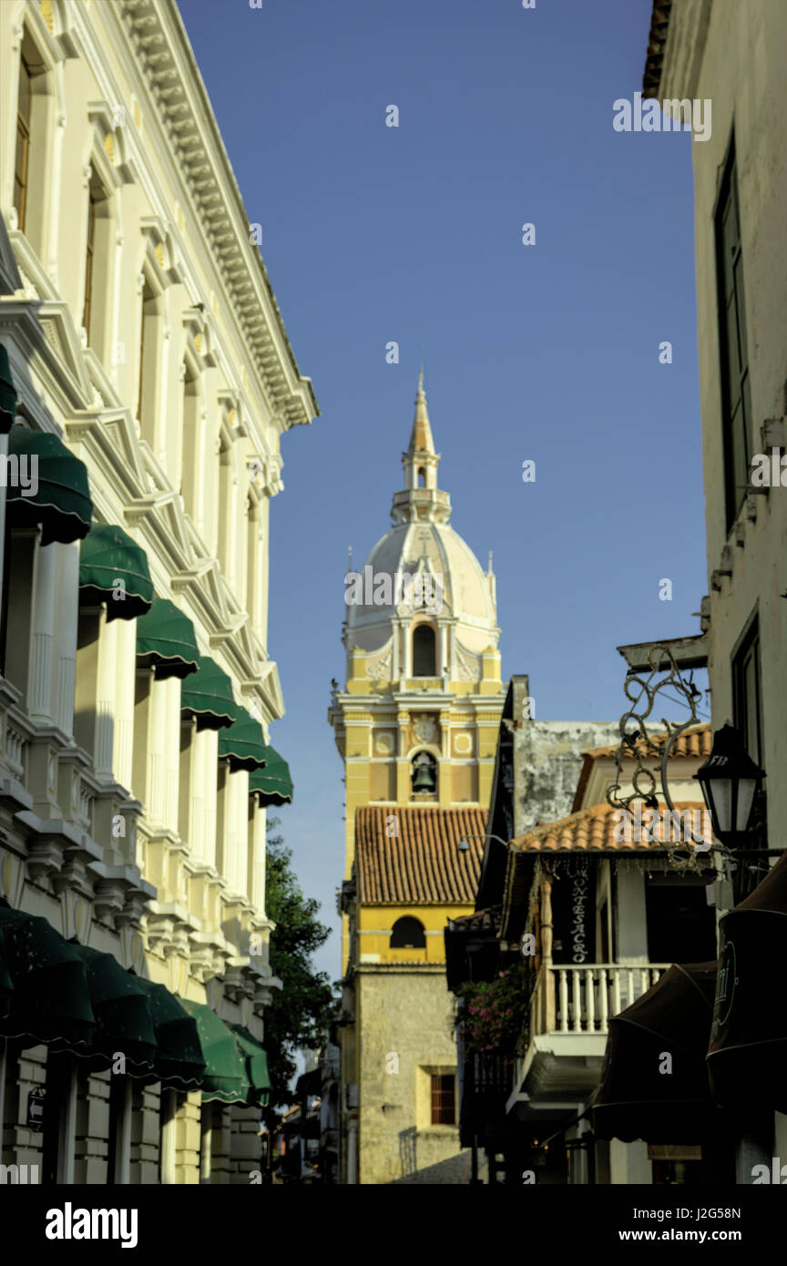 Catalina Bolivar Telegraph