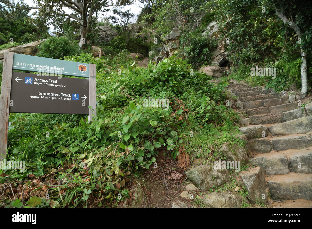 Walking track to Barrenjoey Headland in Kuringgai Chase, National