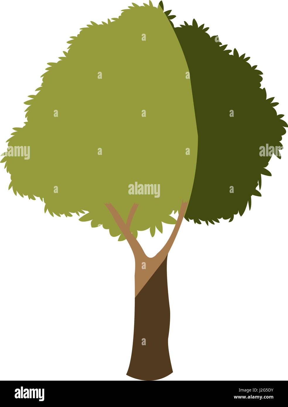 tree plant branch leafy greenery nature Stock Vector Image & Art - Alamy