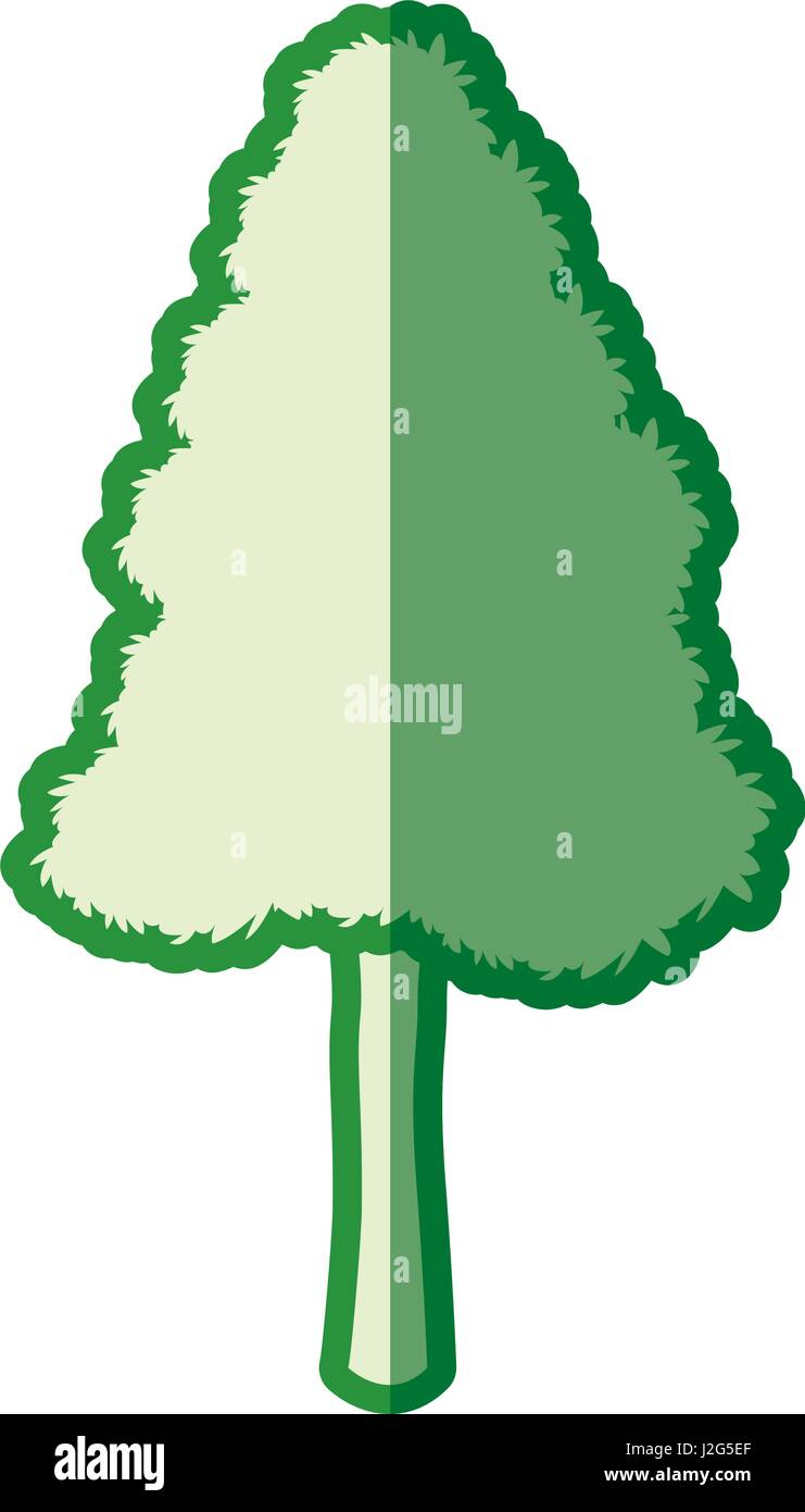 green tree pine natural forest silhouette Stock Vector Image & Art - Alamy