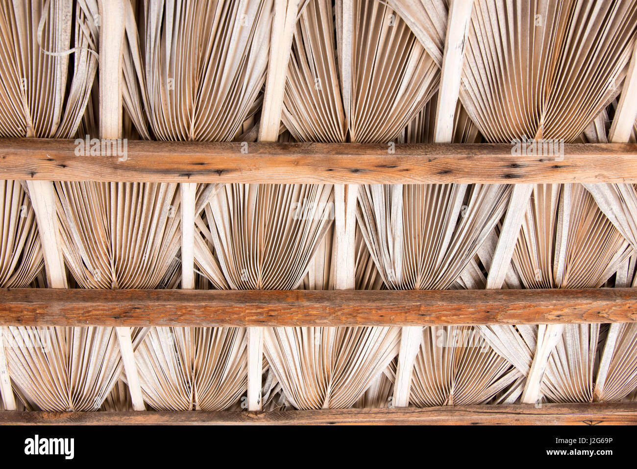 Mexico, Baja California Sur, Sea of Cortez. Palm frond ceiling of shade hut pattern Stock Photo