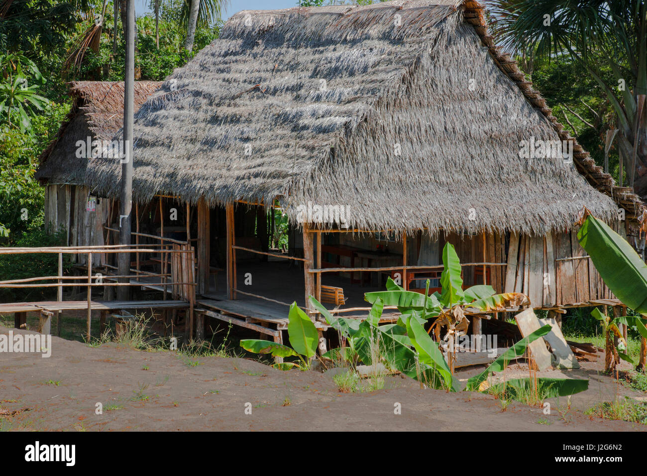 This is a typical home of thatched roof made of palm leaves in the Peruvian town of Amazonas. Stock Photo