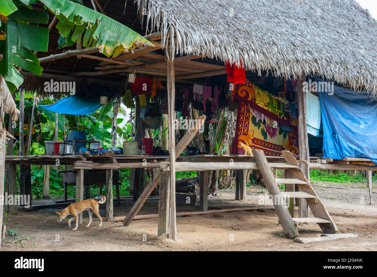 A typical home in the town of Puerta Miguel on the Yurapa River in the Amazon Rainforest of Peru. Stock Photo