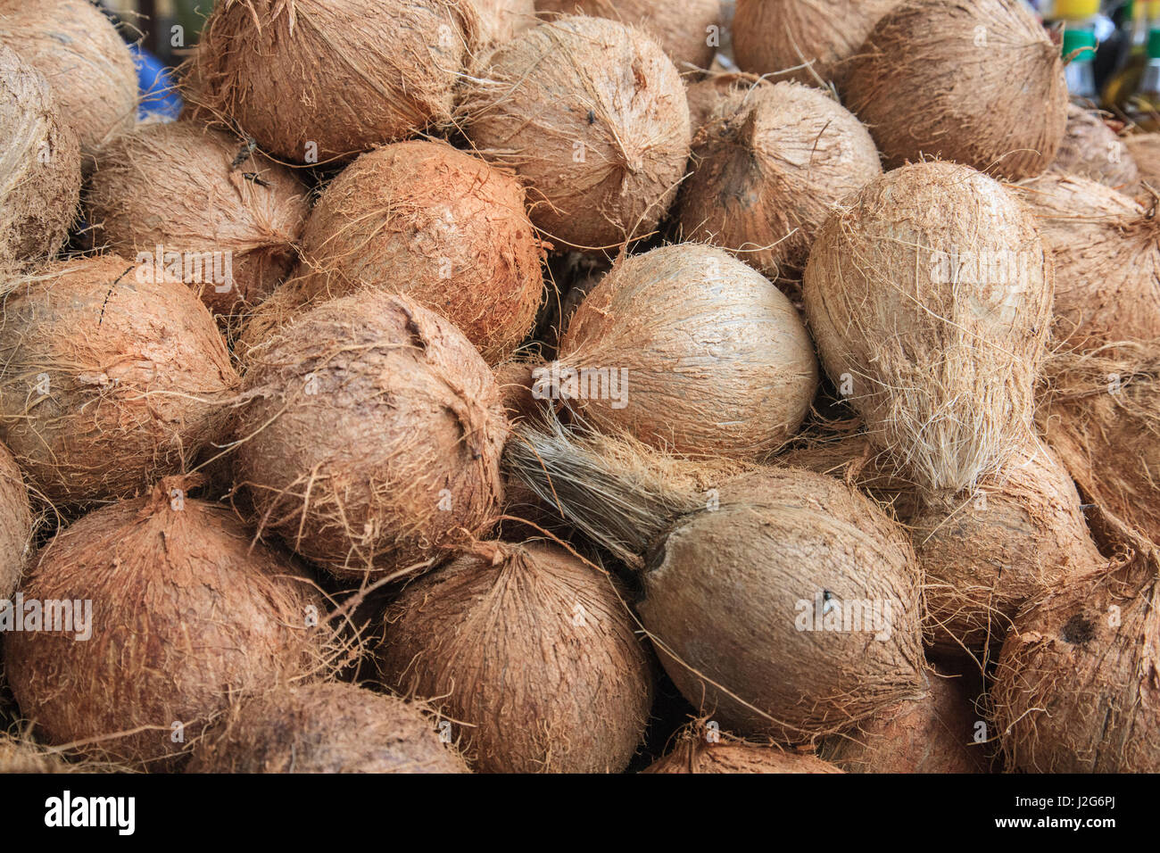 Located in the Mercado Modelo of Chiclayo are many fresh produce stalls, this one featuring coconuts. Stock Photo