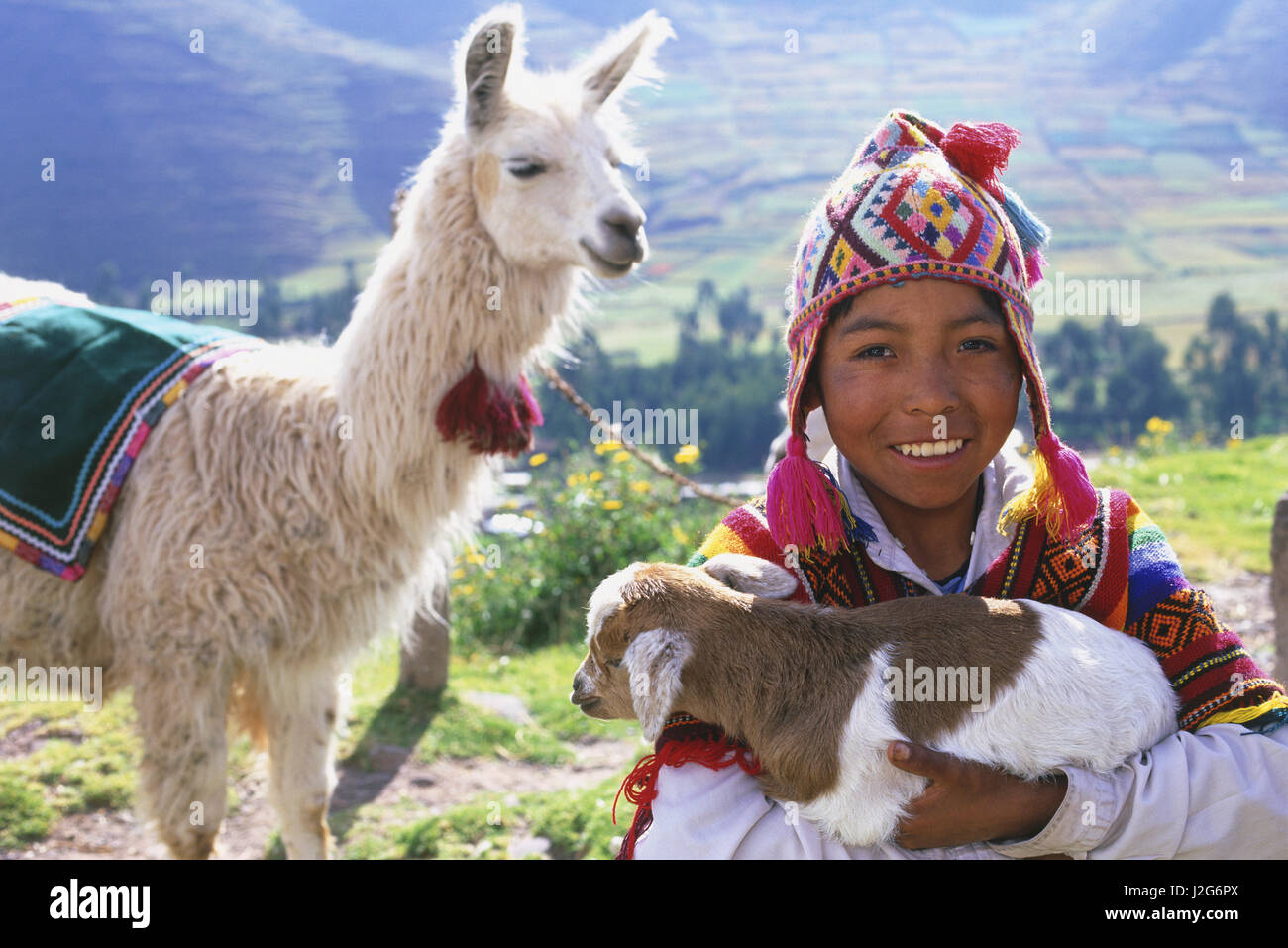 Boy with baby Llama, near Cuzco, Peru Stock Photo