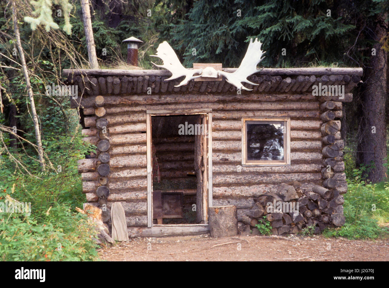 Moose Antlers Hang Over The Door Way Of A Small Log Cabin With Sod