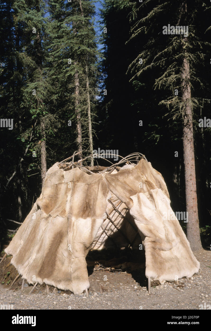 Traditional Athabaskan dome shaped dwelling covered with caribou hides called a wickiup used mainly during hunts. Chena Village, Alaska (PR) Stock Photo