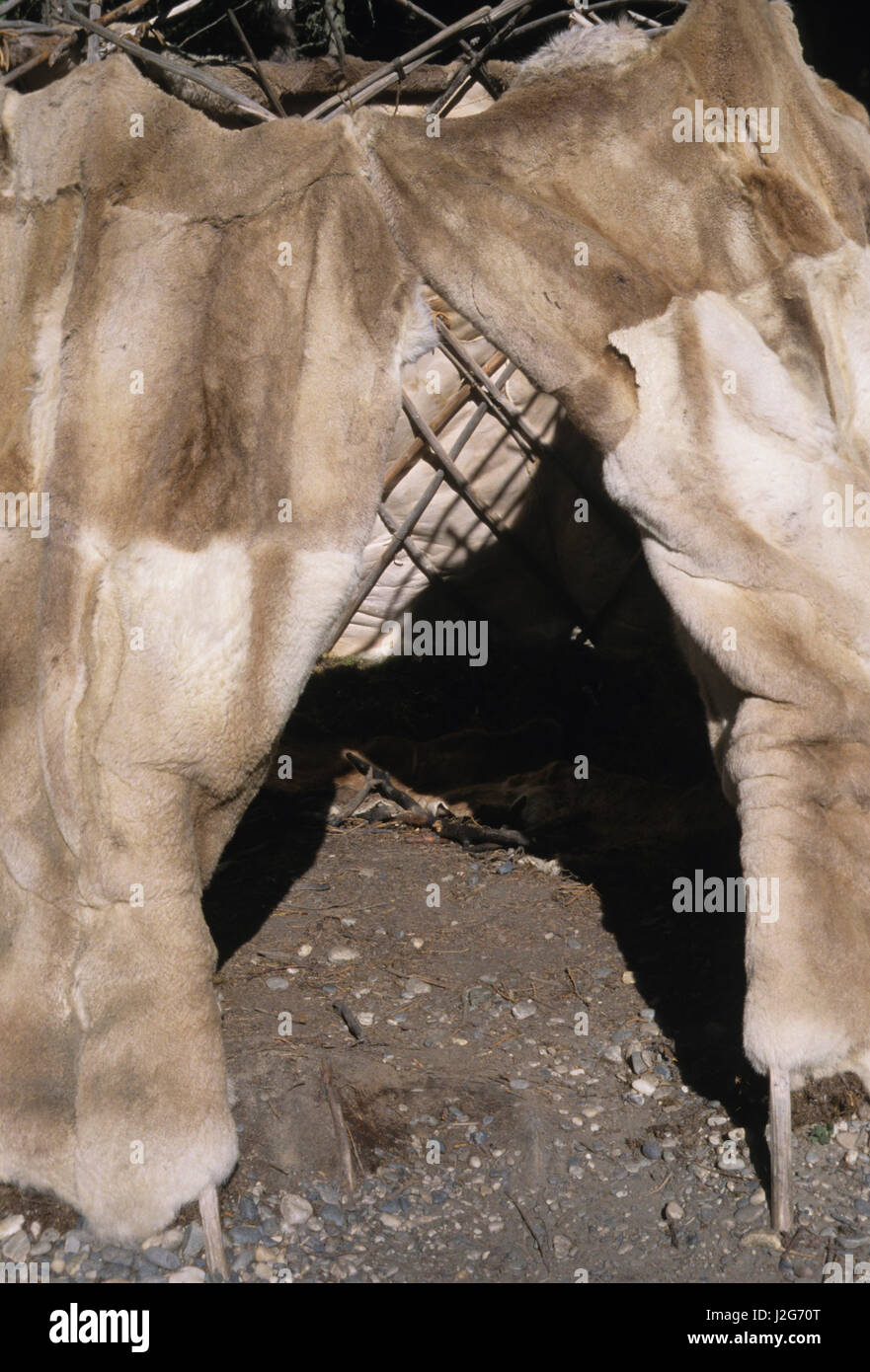 Traditional Athabaskan dome shaped dwelling covered with caribou hides called a wickiup used mainly during hunts. Chena Village, Alaska (PR) Stock Photo