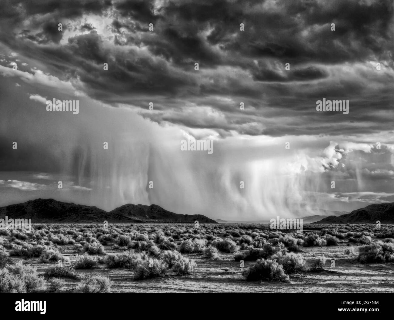 USA, California, Mojave National Preserve, Desert rain squall at sunset Stock Photo