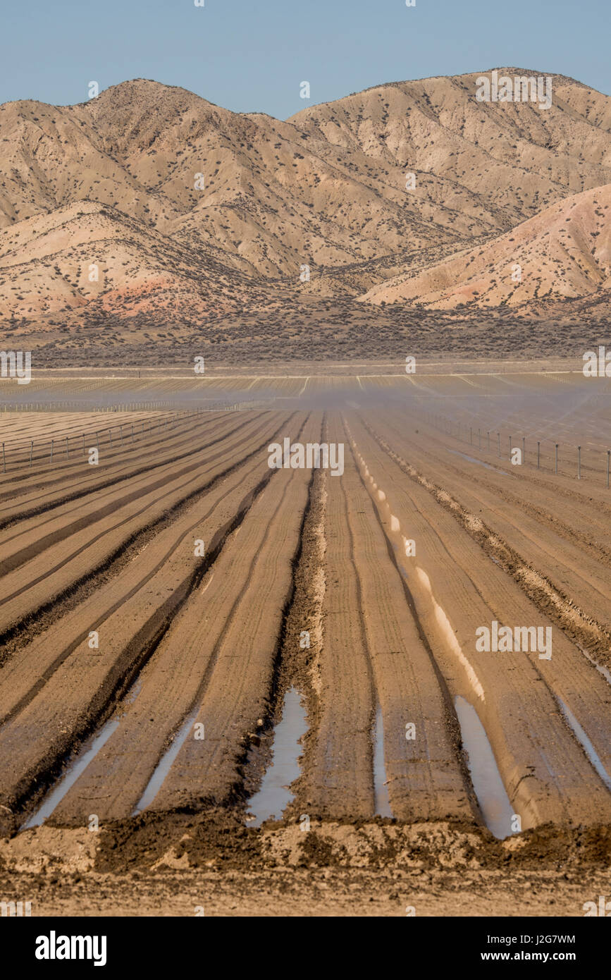 USA, California, Upper Cuyuma River Basin, pivot irrigation for row ...