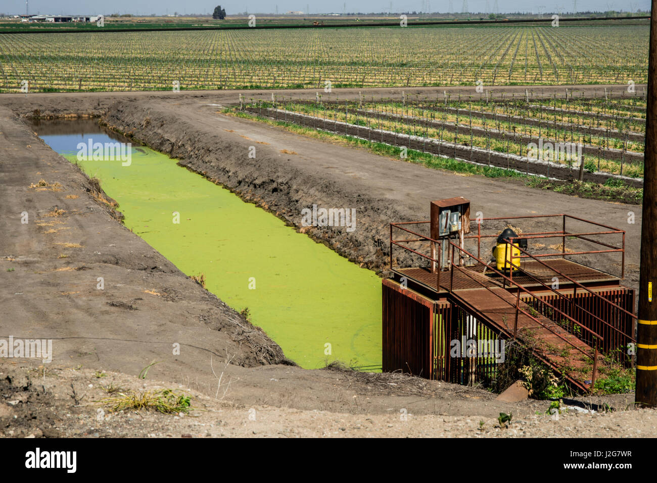 USA, California, Stockton, agricultural irrigation at end of West March