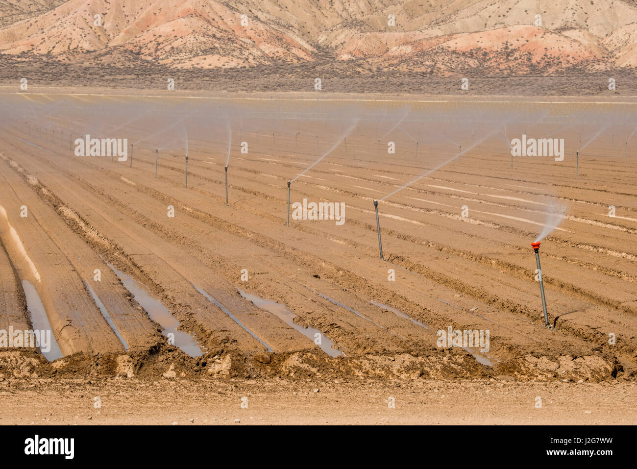 USA, California, Upper Cuyuma River Basin, pivot irrigation for row ...