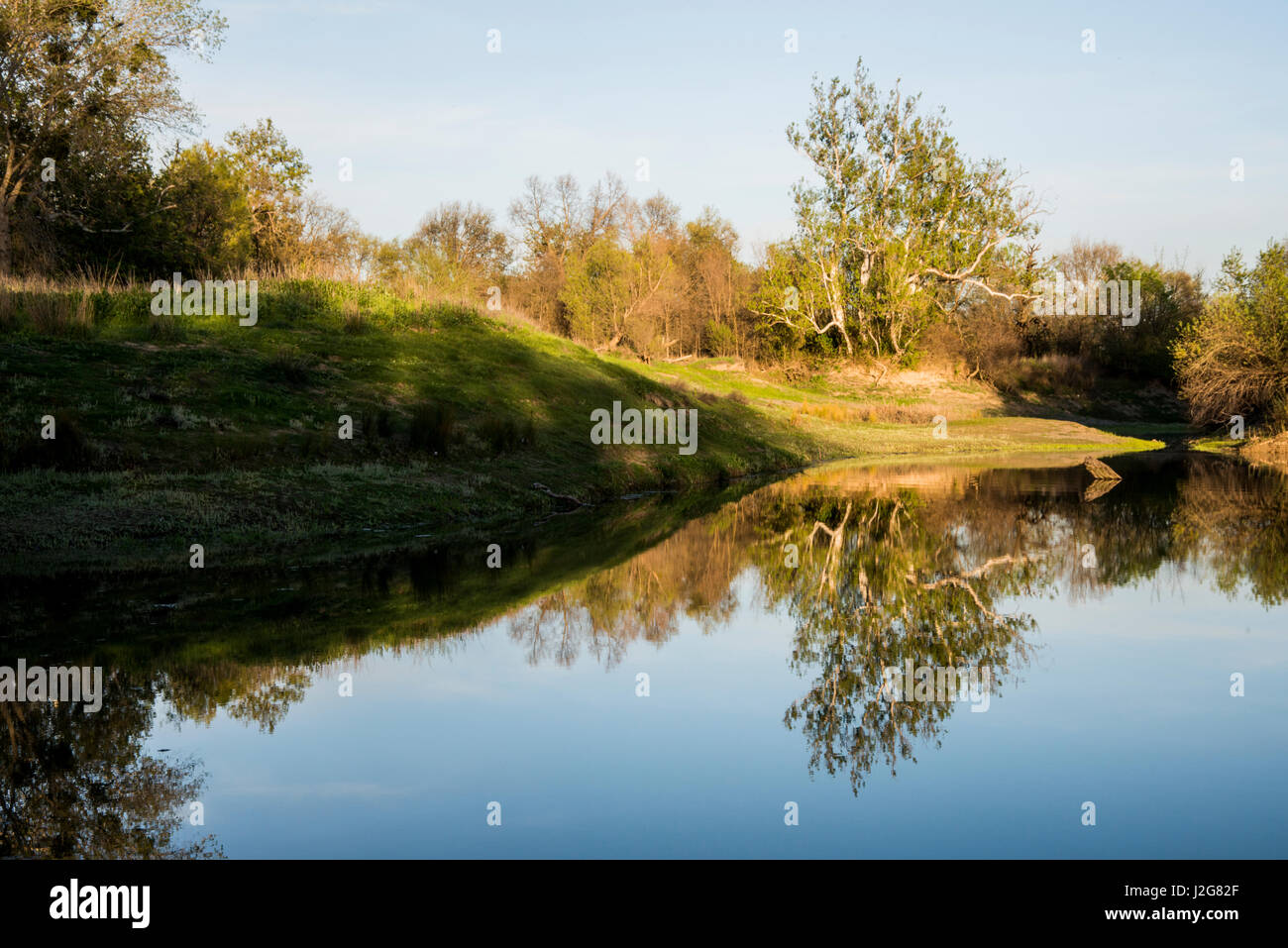 USA, California, Knights Landing, Fremont Weir Wildlife Area on the Sacramento River, floodplain management, sunset reflections of trees in pond off the river (Large format sizes available) Stock Photo