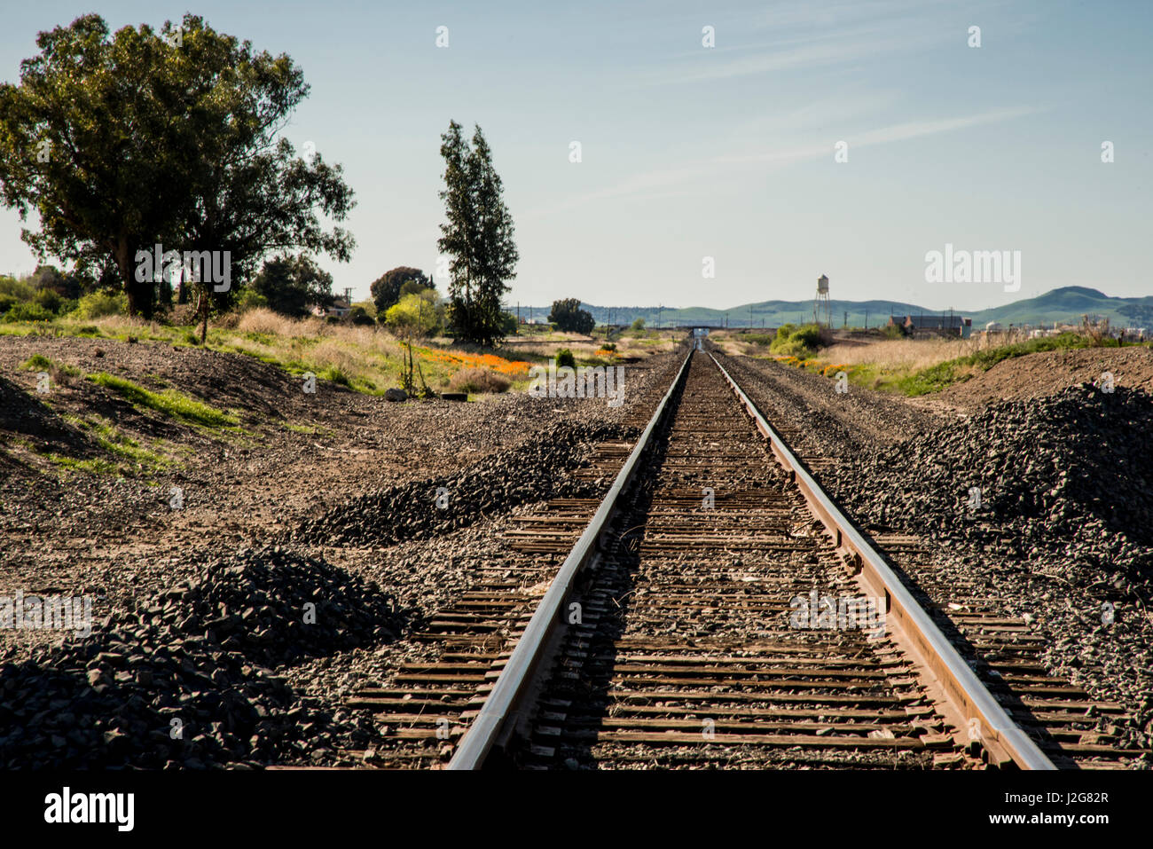 USA, California, Sacramento River-San Joaquin Delta area, south shore, McAvoy Harbor (Large format sizes available) Stock Photo