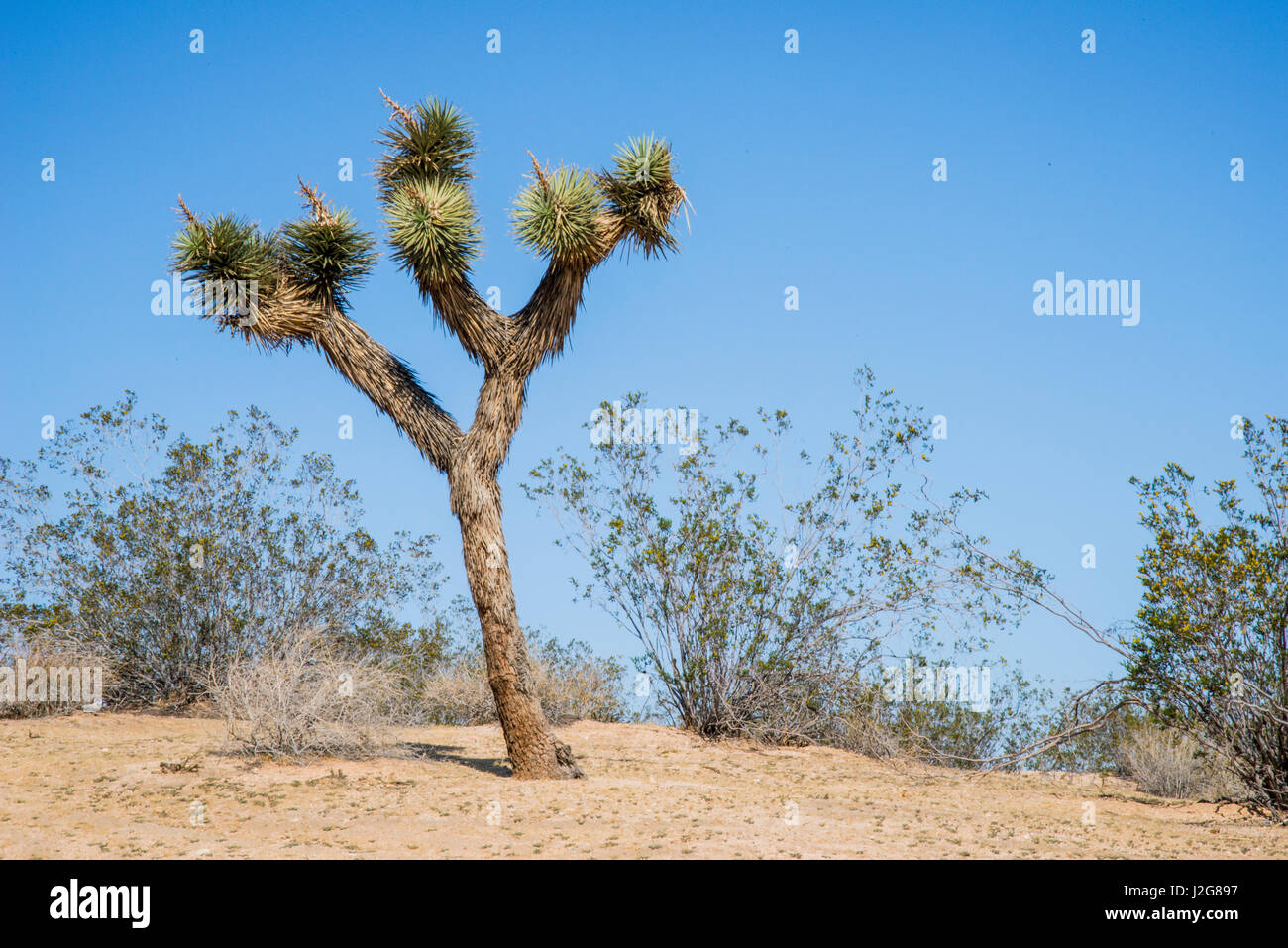 USA, Southern California, Drought Spotlight number 3, Rte 66 Expedition