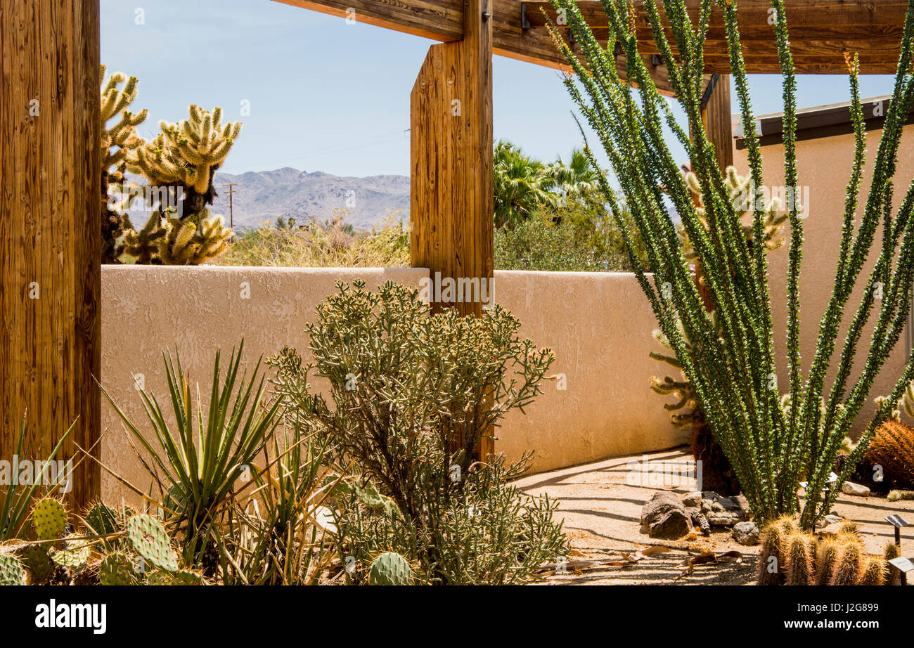 Southern California Camping: Spotlight on 29 Palms Oasis
