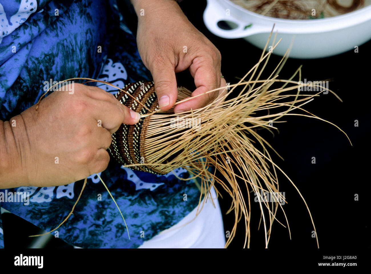 Traditional Hupa basket weaver makes a basket using natural fibers that