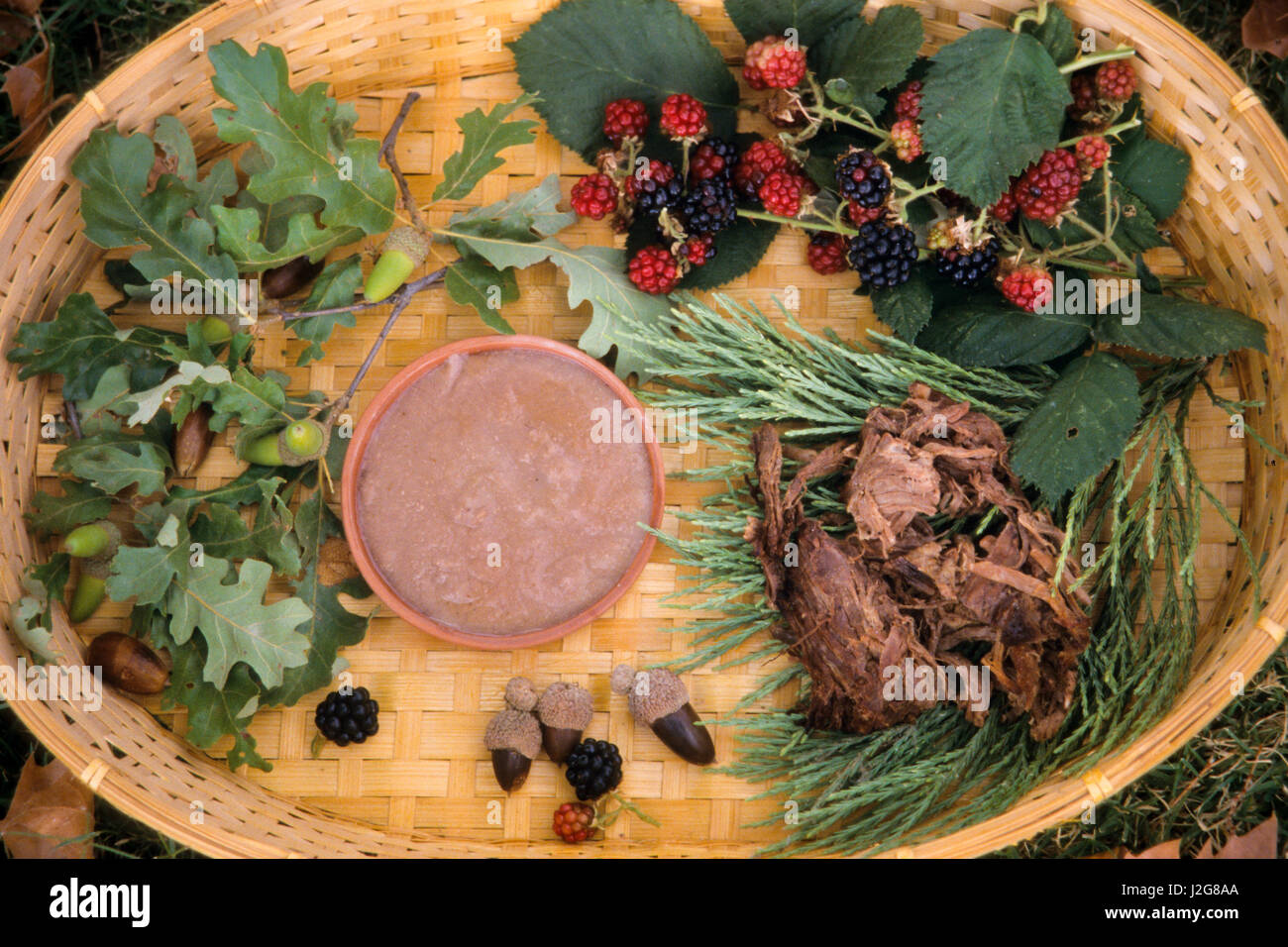 Hupa Acorn Bread Making: Traditional California Tribal Food Preparation Methods