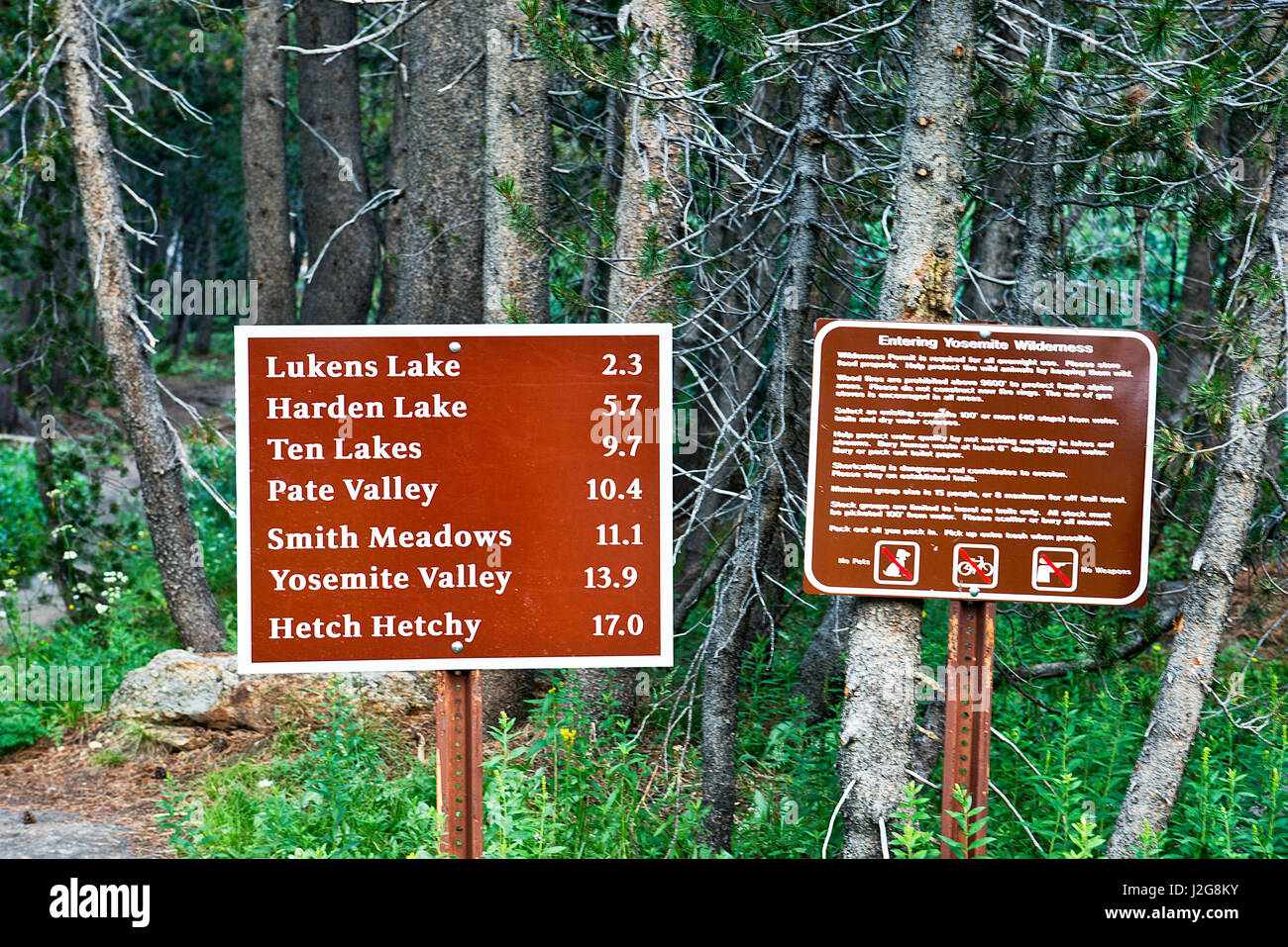 USA, California, Yosemite National Park, White Wolf Trail