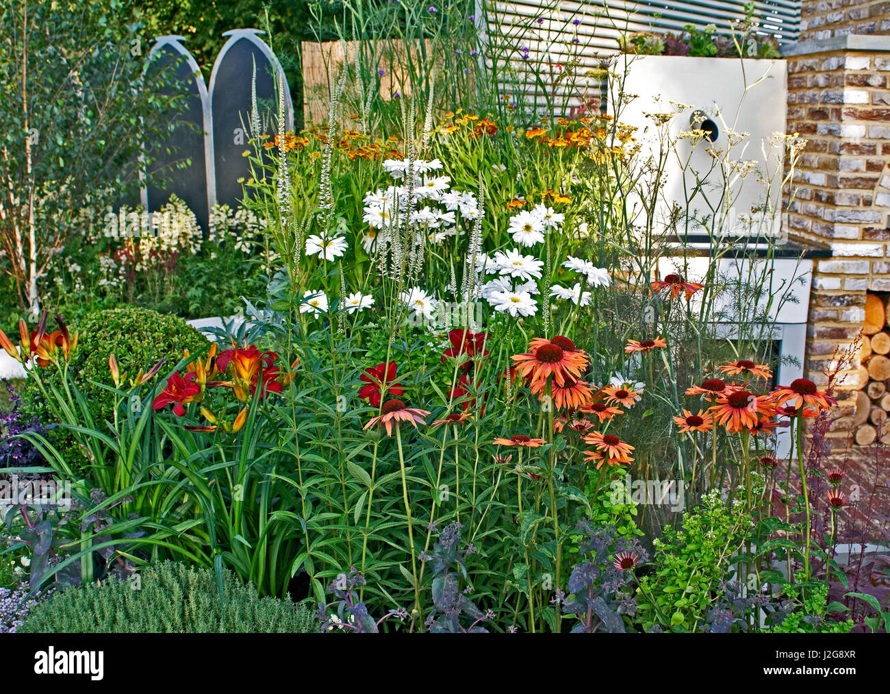Detail of a flower border with Leucanthemum and Echinacea in a Chef's Kitchen garden Stock Photo