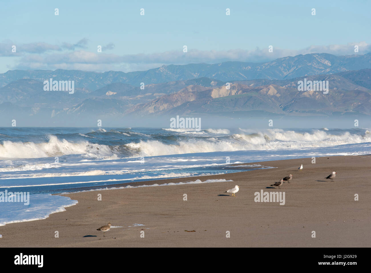 Oxnard beach park california hi-res stock photography and images - Alamy