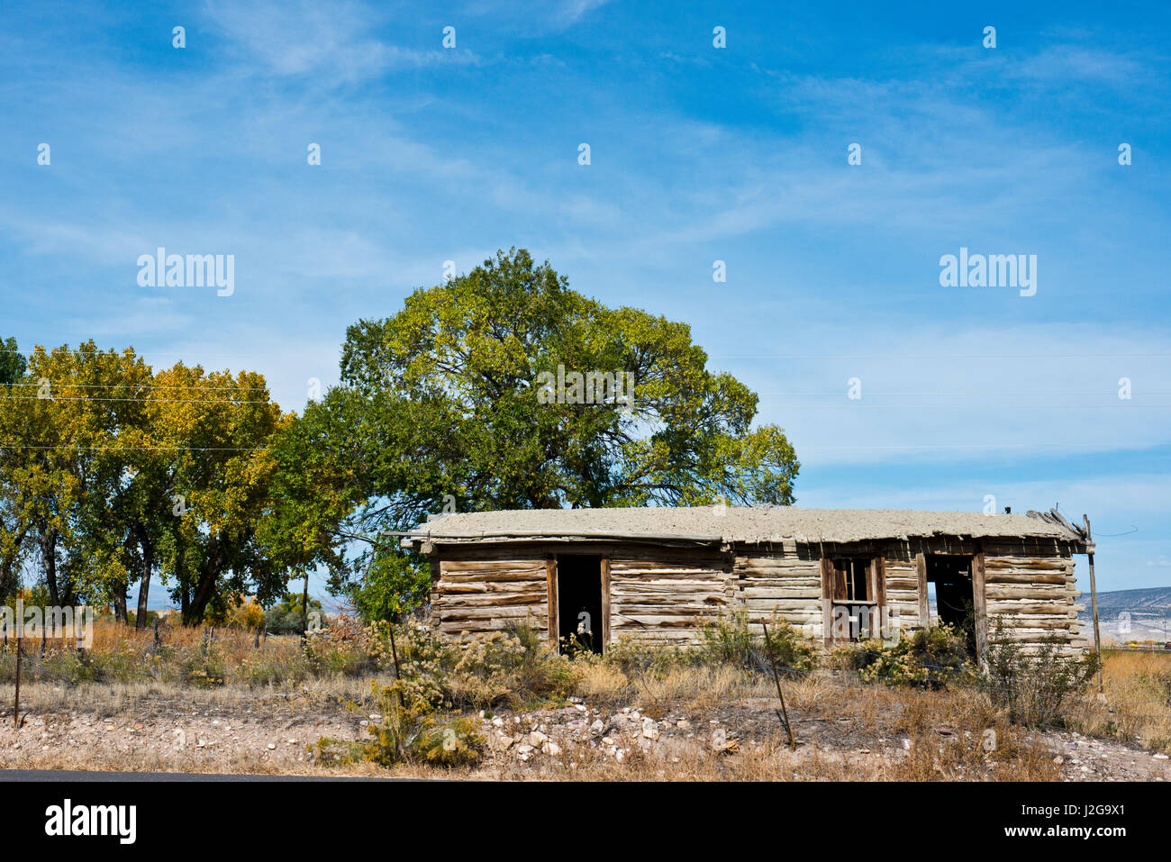 USA, Colorado, Dinosaur, Abandoned Log Building (Large format sizes available) Stock Photo