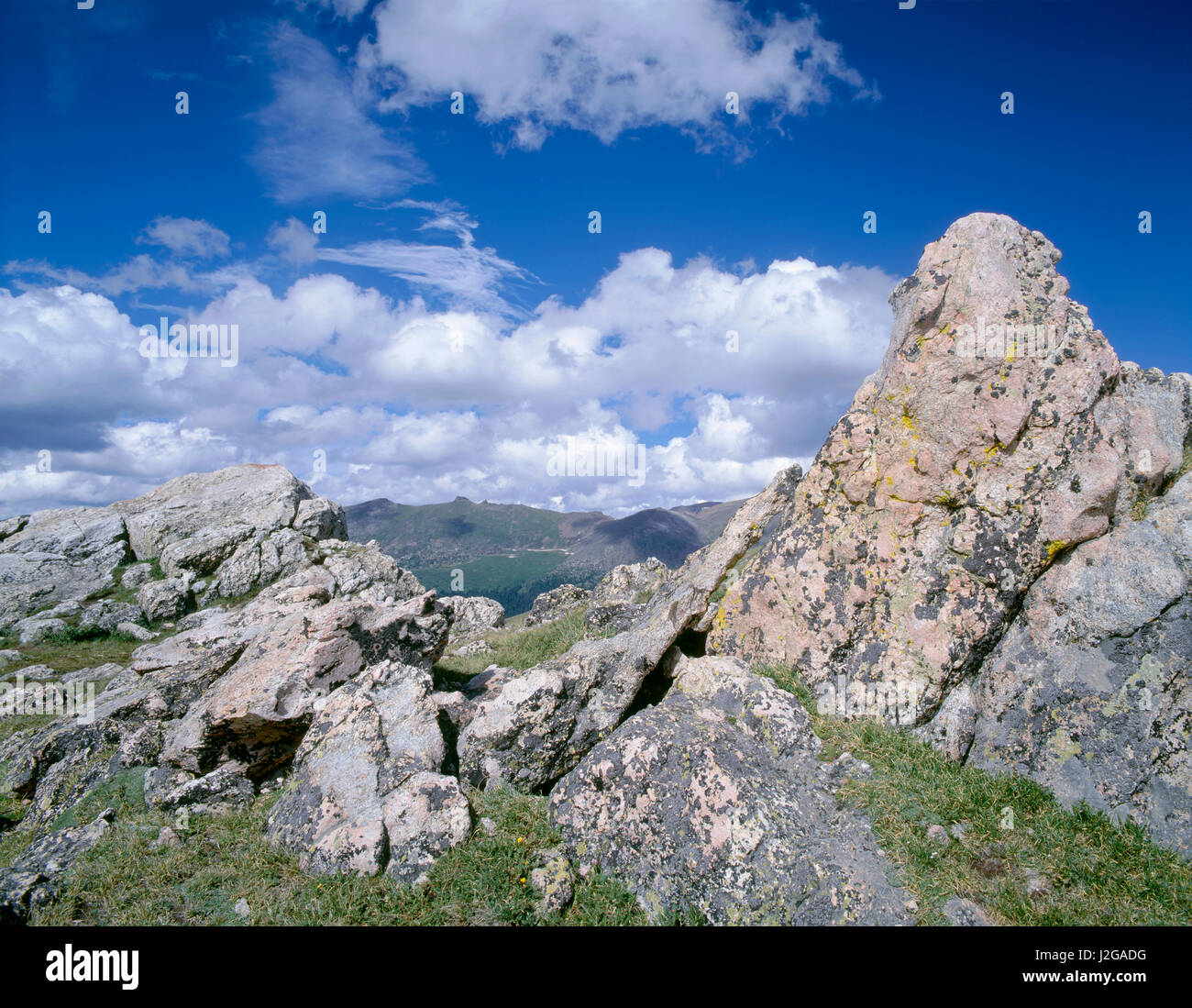 USA, Colorado, Rocky Mountain National Park, Alpine tundra and lichen ...