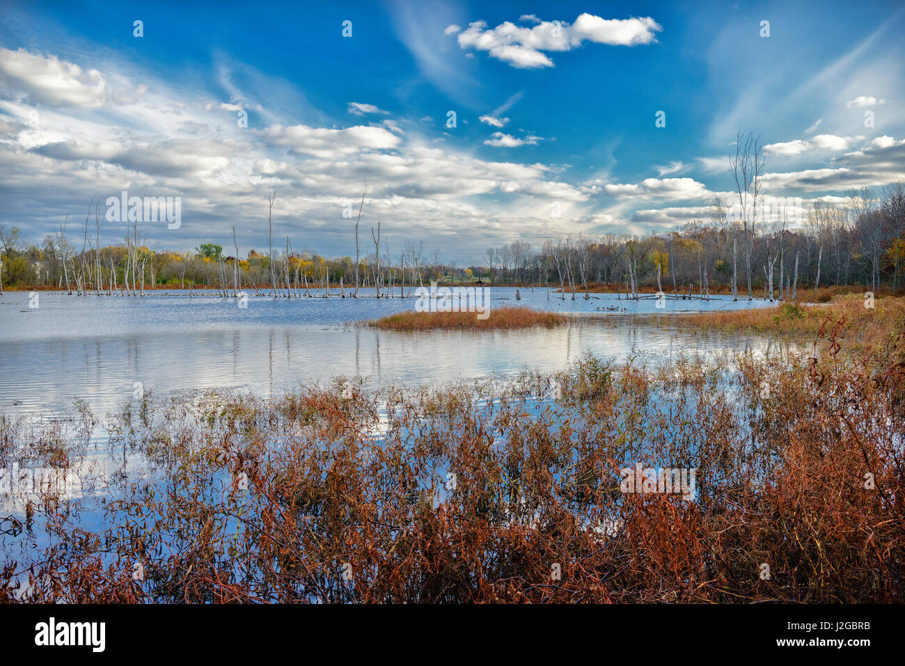 USA, Indiana, The Celery Bog wetlands in autumn (Large format sizes available Stock Photo Alamy