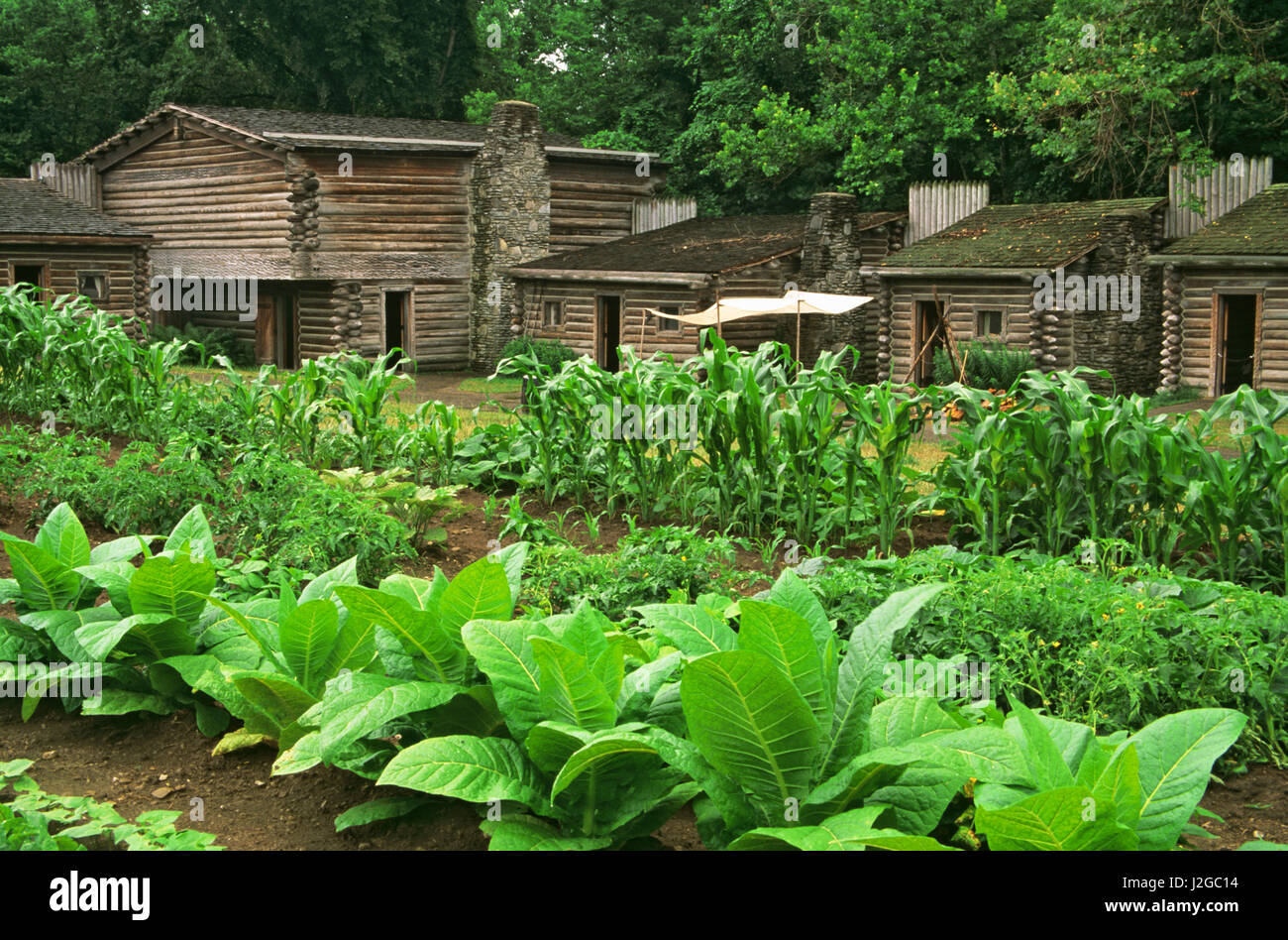 USA, Kentucky, Fort Boonesborough. Vegetable garden at the fort. Credit