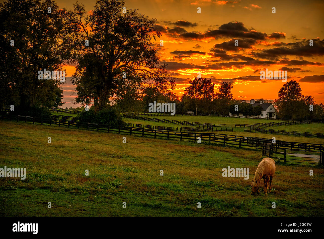 Darby dan farm hires stock photography and images Alamy