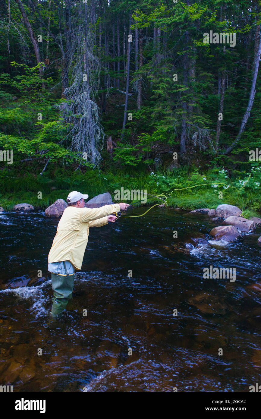 A man flyfishing for brook trout in Cold Stream in Maine's Northern Forest. West Forks. (MR