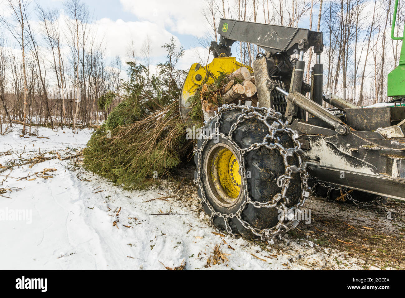 Log skidder hi-res stock photography and images - Alamy