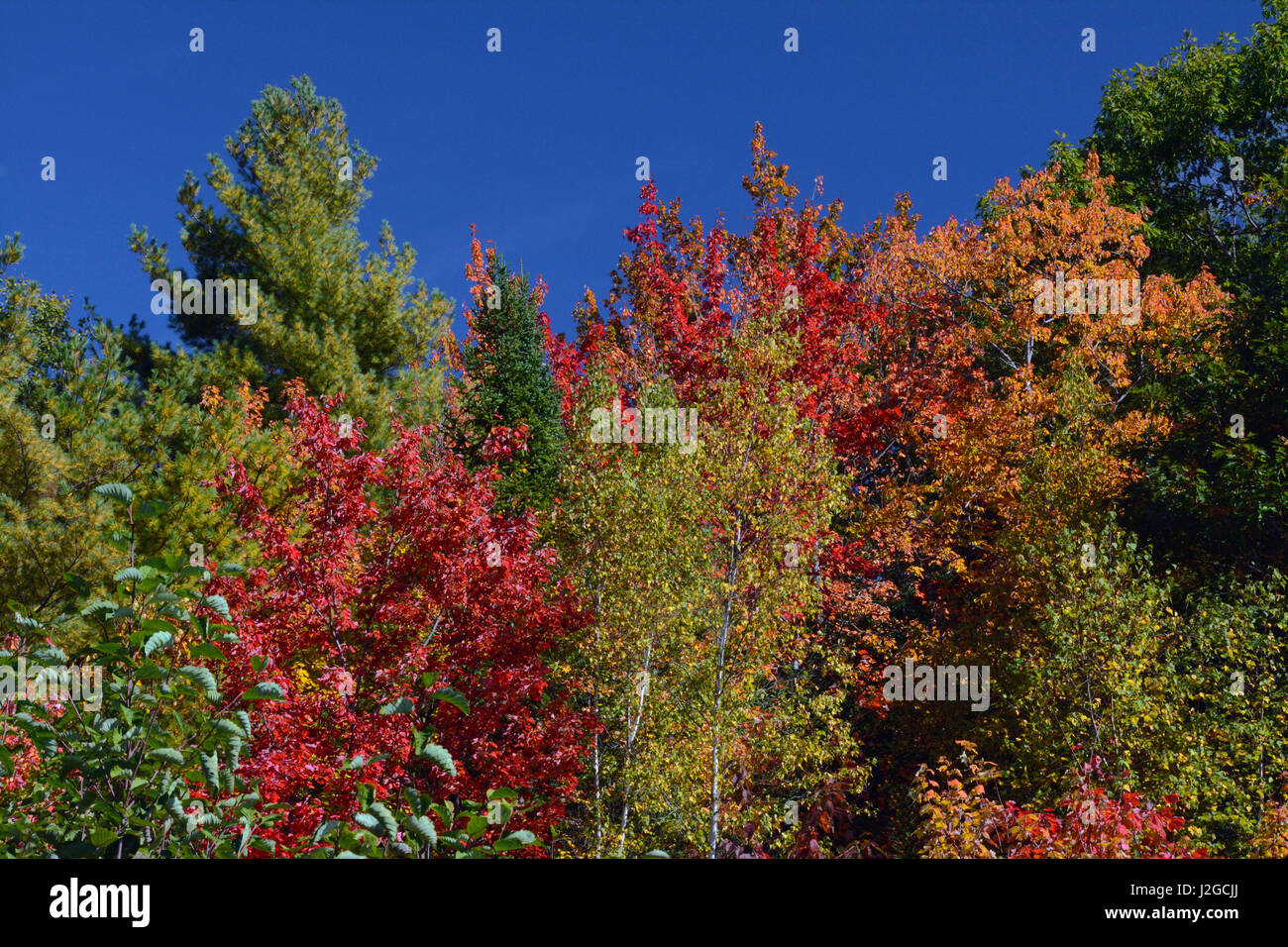 Bradley farm preserve hires stock photography and images Alamy