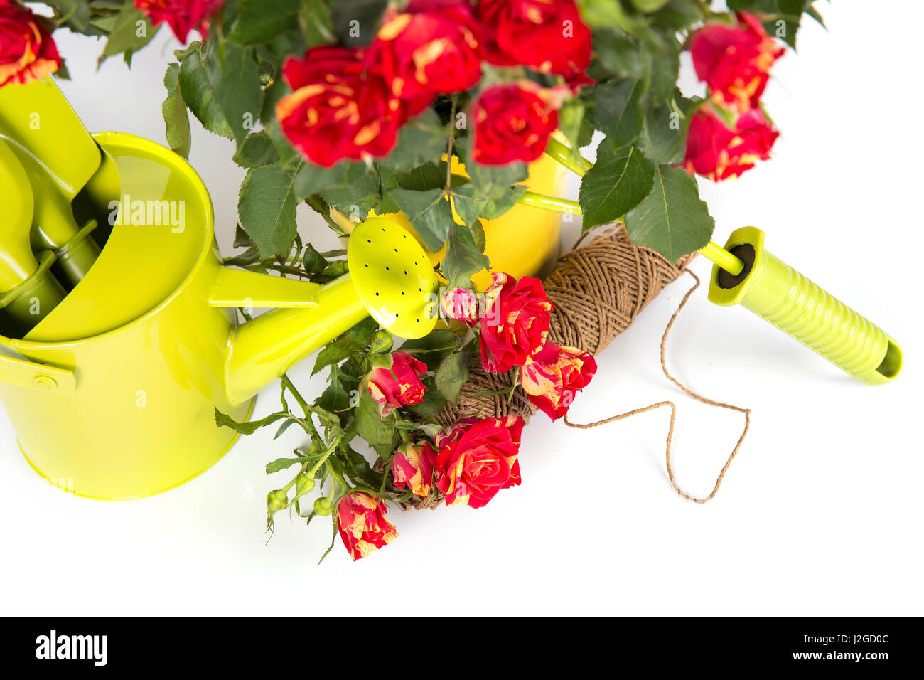 Gardening roses with watering can and tools Stock Photo Alamy