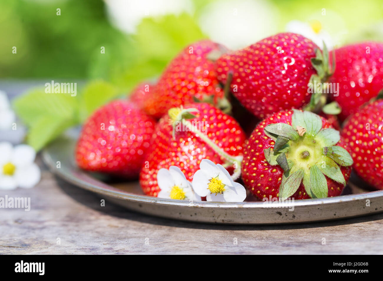 Fresh ripe strawberries crop in the garden Stock Photo - Alamy