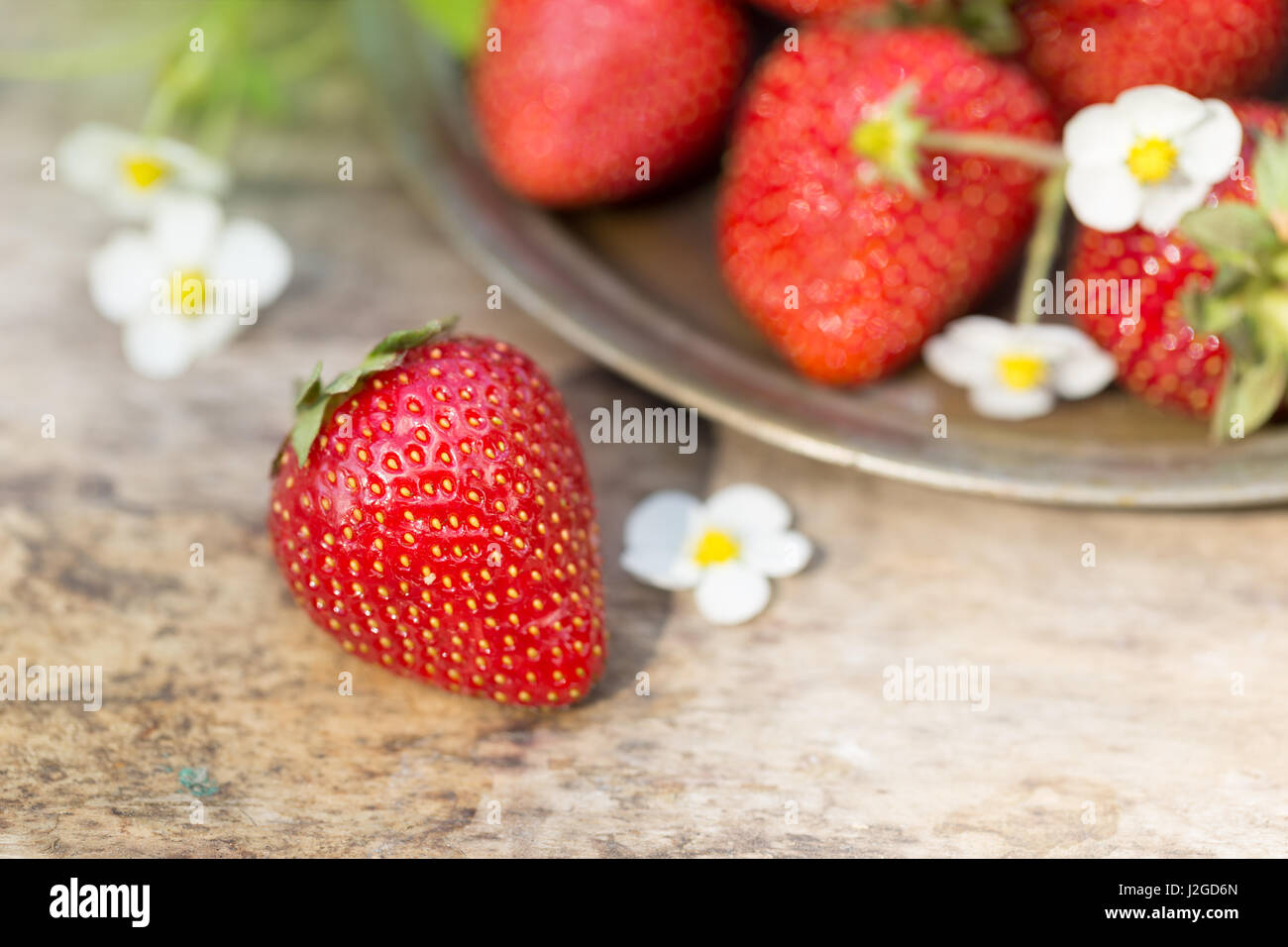 Fresh ripe sweet strawberries crop in the garden Stock Photo - Alamy