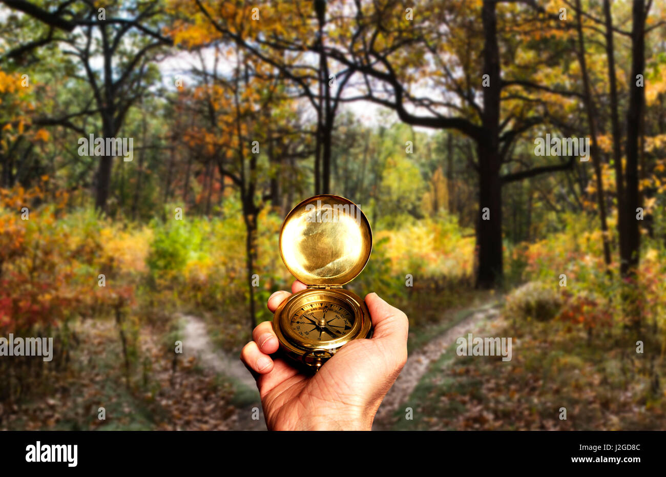 male hand holding a compass in front of a fork in the road in a forest, decision and choice concept Stock Photo