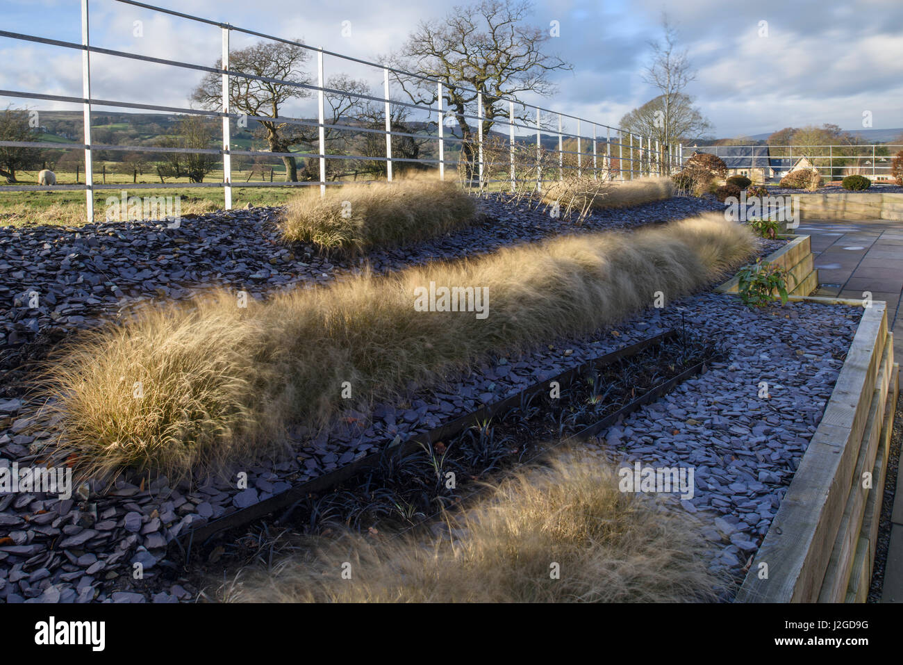 Winter sun on beautiful, private garden, Yorkshire, England, UK