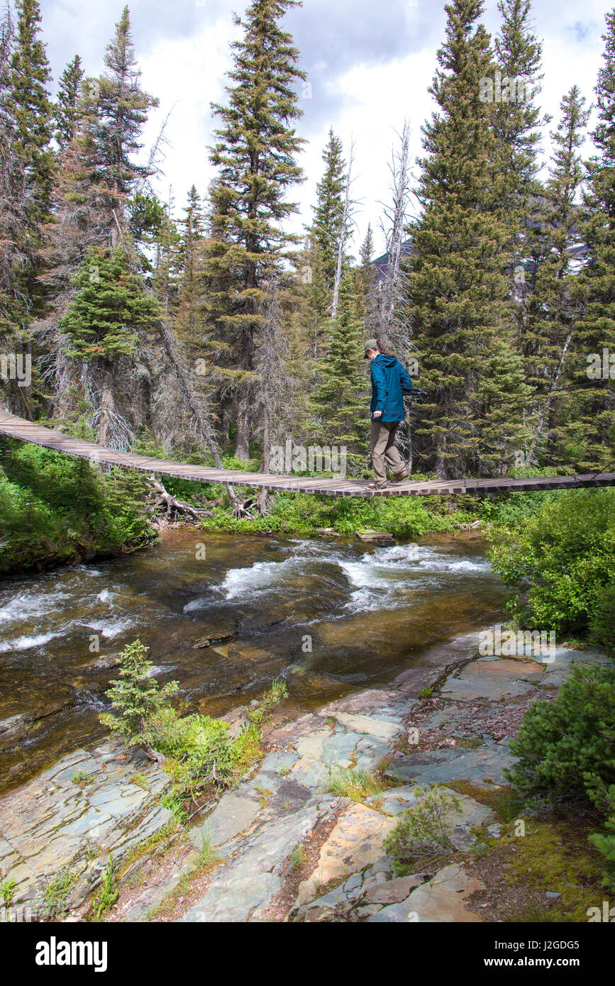 Glacier National Park Montana. Suspension bridge over Paradise Creek
