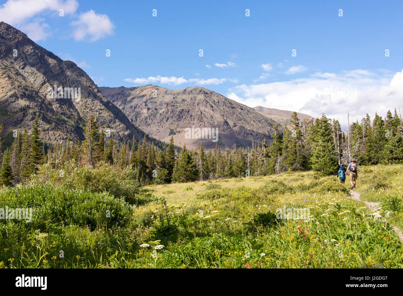 Glacier National Park. Hikers on Two Medicine Lake trail from Cobalt