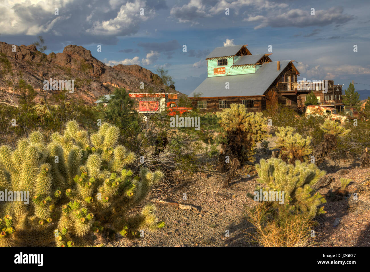 USA, Nevada, Clark County. City of Nelson. Buildings and the landscape that shows the city well with teddy bear cholla cactus. Stock Photo