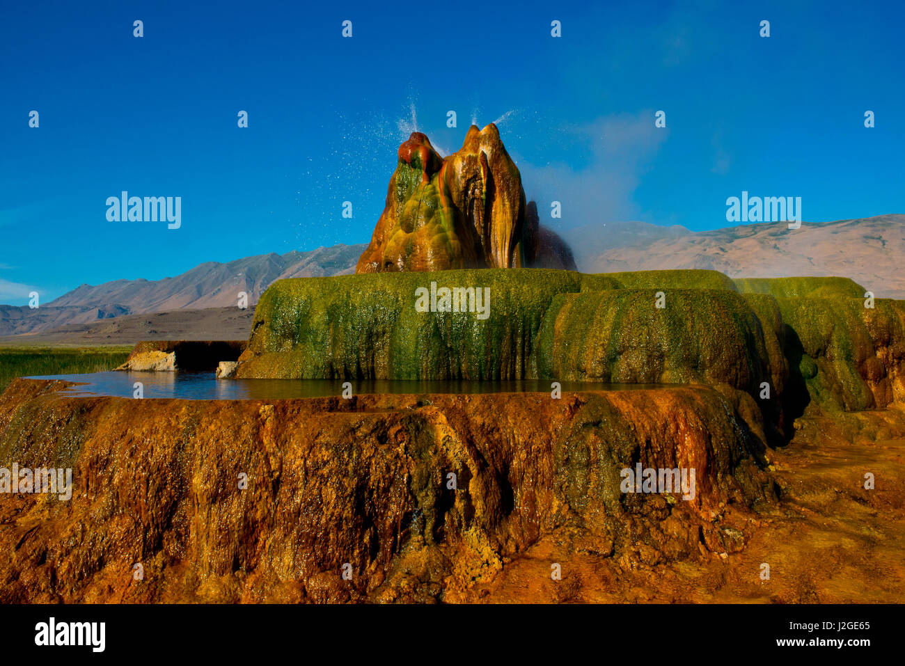 USA, Nevada, Gerlach, Fly Geyser, Black Rock Desert (Large format sizes available Stock Photo