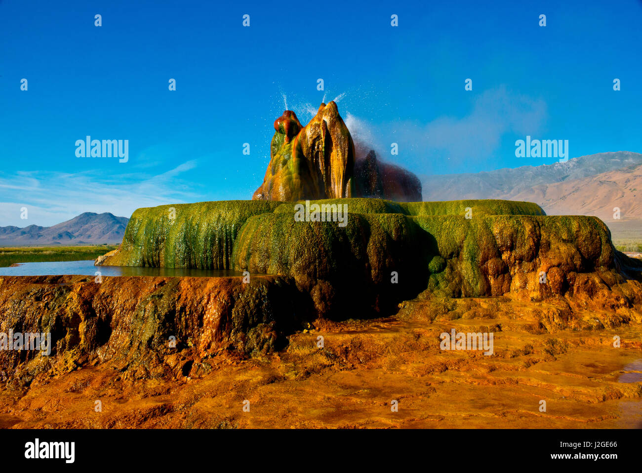 USA, Nevada, Gerlach, Fly Geyser, Black Rock Desert (Large format sizes