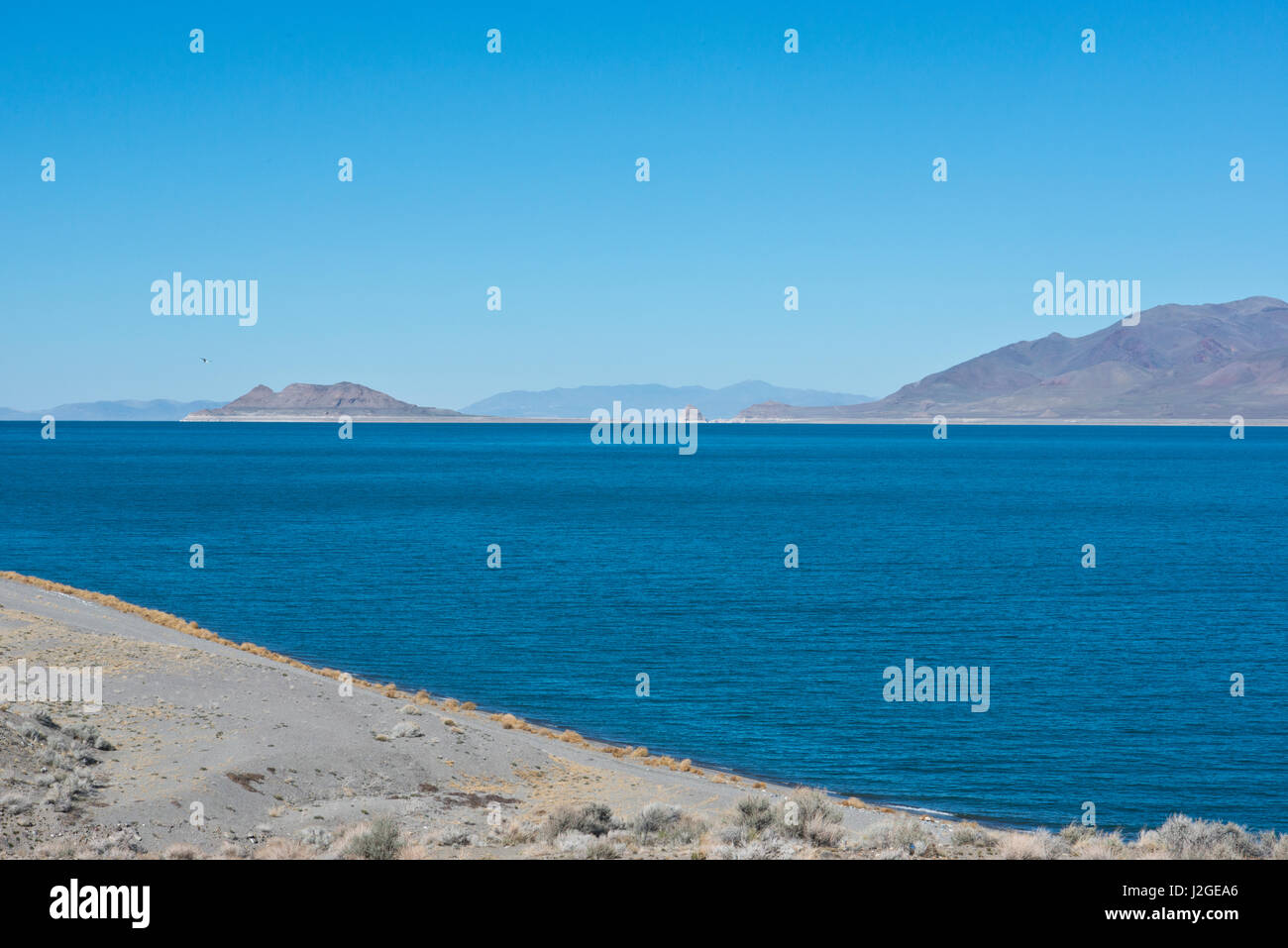 USA, Nevada, Nixon, Pyramid Lake Paiute Tribe Reservation, showing Lake