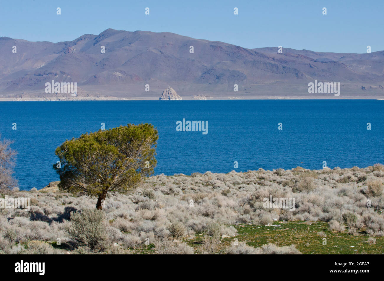 USA, Nevada, Nixon, Pyramid Lake Paiute Tribe Reservation, showing Lake