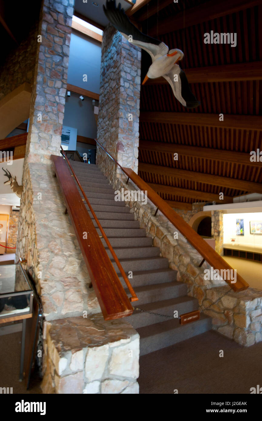 USA, Nevada, Nixon, Pyramid Lake Paiute Tribe Reservation, Pyramid Lake