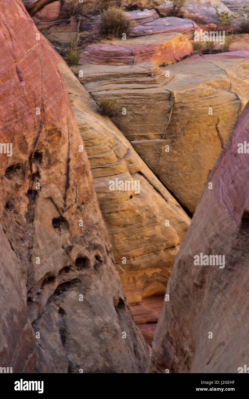 Pink Canyon, Valley of Fire State Park, Overton, Nevada, USA Stock