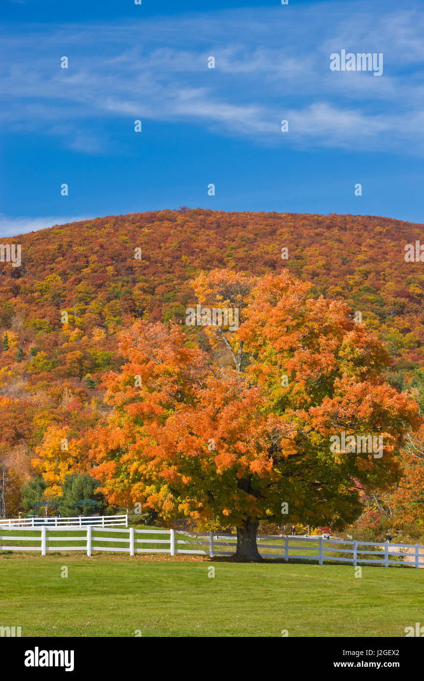 Moultonborough new hampshire hires stock photography and images Alamy