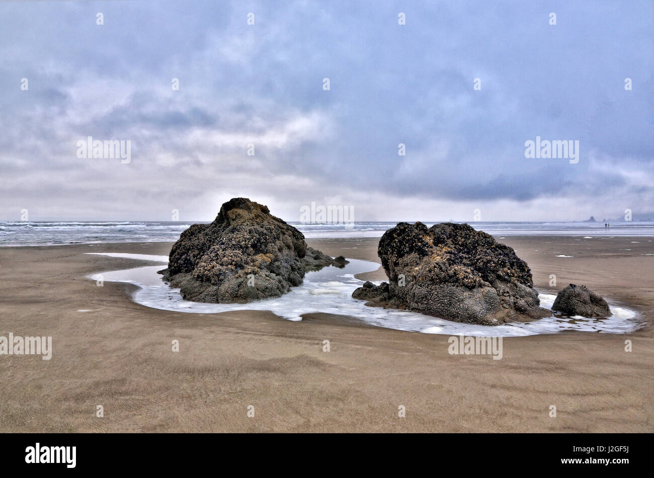 USA, Oregon, Cannon Beach. Low tide exposes sea stacks. Credit as Jean