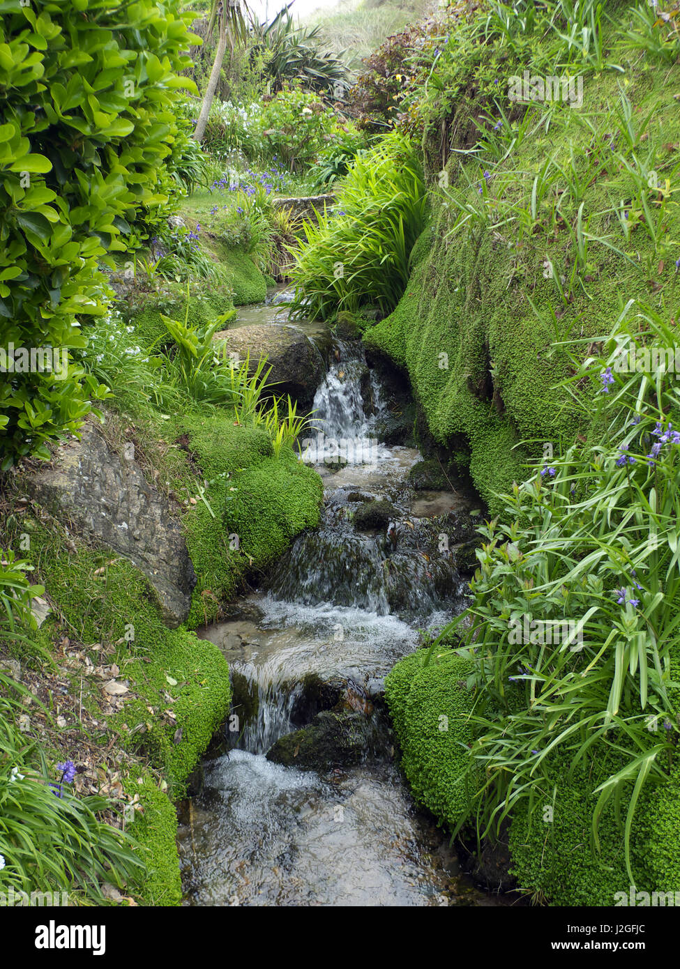 Natural stream, cascade, garden, Sennen, Cornwall, West Country, SW England, Great Britain, GB, United Kingdom, UK, Europe Stock Photo